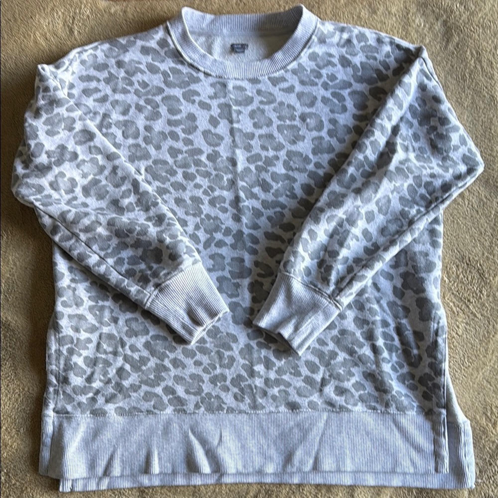 Aerie Sweatshirt
